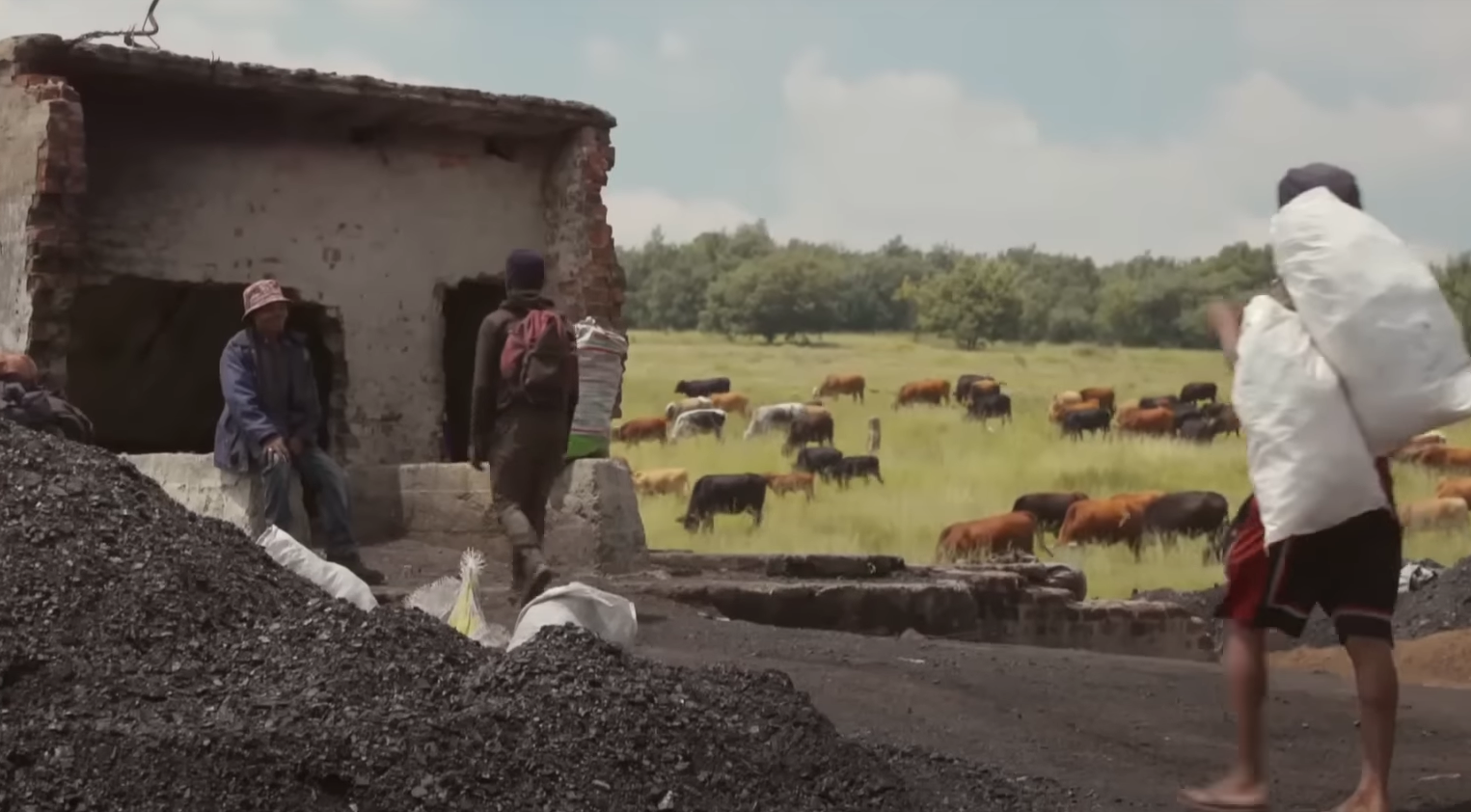 Afrique du Sud : les forçats du charbon | ARTE Reportage